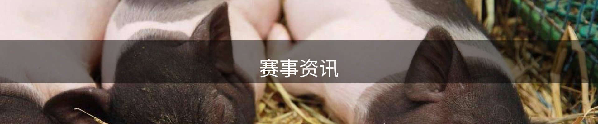 赛事资讯